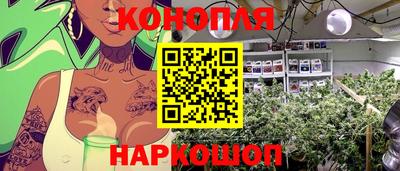 дживик Будённовск