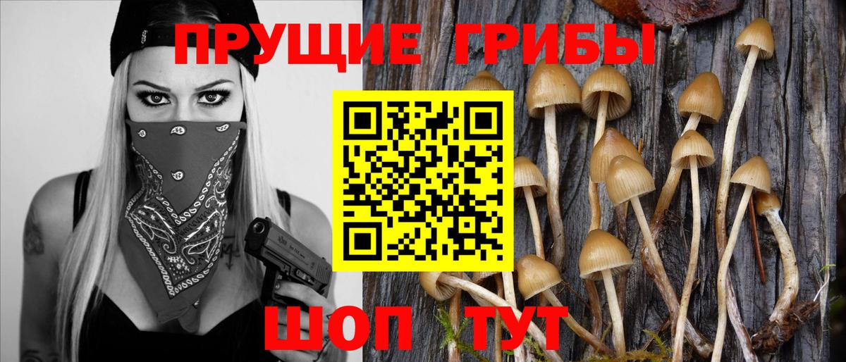 Муром  где продают   Псилоцибиновые грибы ЛСД  Вход с VPN  Псилоцибиновые грибы прущие грибы 