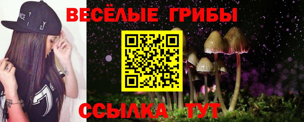 Галлюциногенные грибы прущие грибы Муром